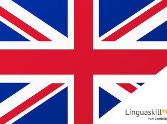 Anglais professionnel : remise à niveau + Linguaskill (60 heures)